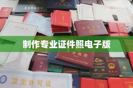  制作专业证件照电子版